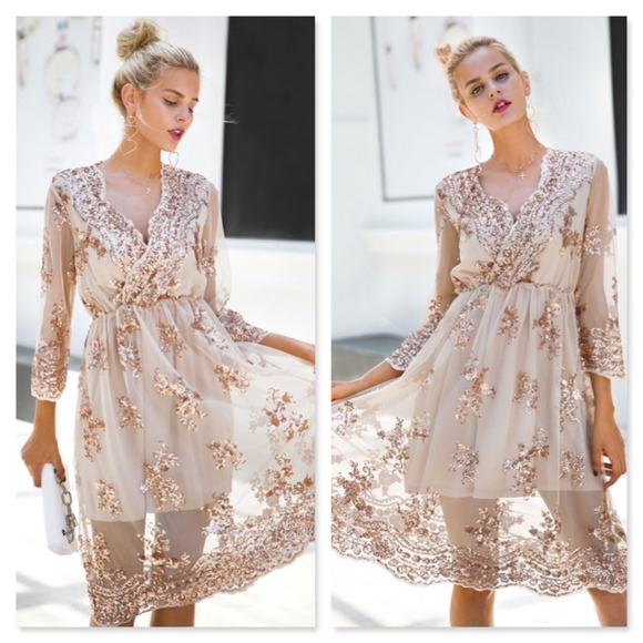 Tan Midi V-Neck Mesh Dress with Rosegold Sequins - Picture 4 of 13